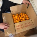 JA京都市吉祥院支店様からのいただきもの🫜