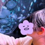 オリックス宮内財団様より京都水族館へご招待いただきました🐬✨